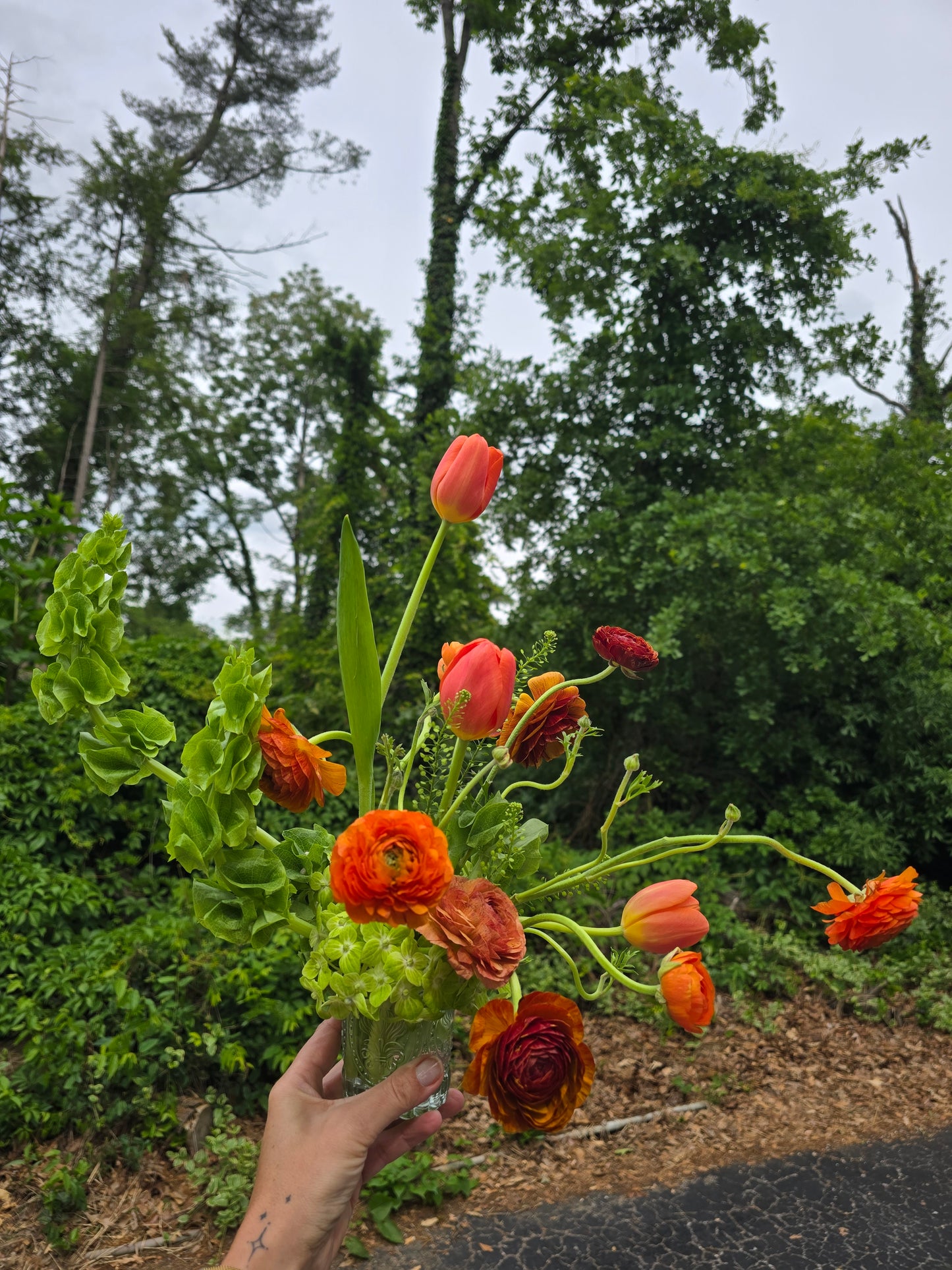 Other Lands Pick-Me-Up (Medium)